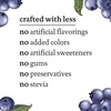 image:imagesiggis Icelandic Strained Nonfat Yogurt Blueberry 53 oz Single Serve Cup  Thick ProteinRich Yogurt Snack53 Ounce