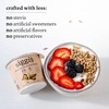 image:imagesiggis PlantBased Coconut Blend Raspberry 53 oz Cup  Single Serving Dairy Free Snack More Protein Than Sugar